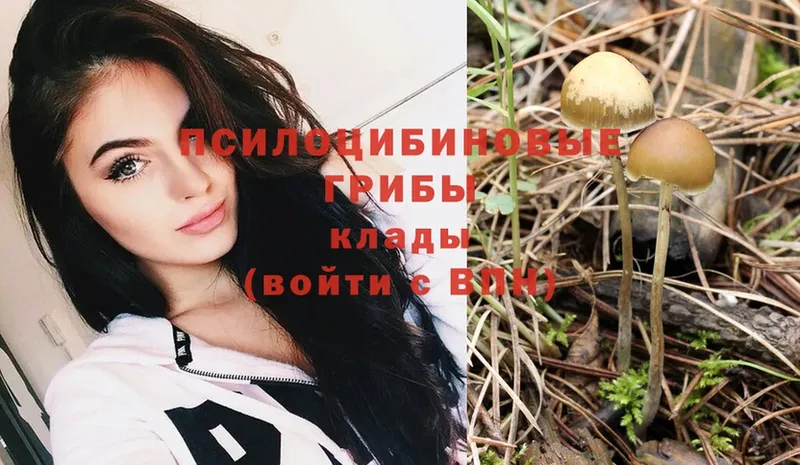 Галлюциногенные грибы Magic Shrooms  MEGA как зайти  Приволжск 